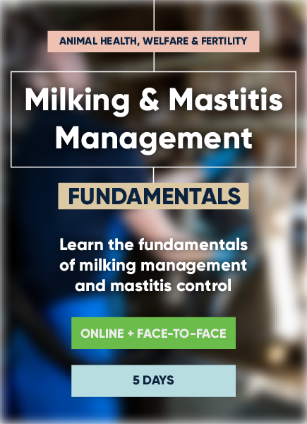 Milking & Mastitis Management (Fundamentals)
