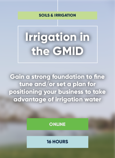 Irrigation in the GMID