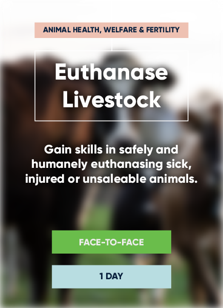 Euthanase Livestock