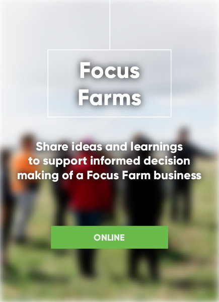 Focus Farms