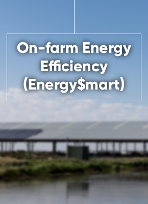 On-farm Energy Efficiency (Energy$mart)