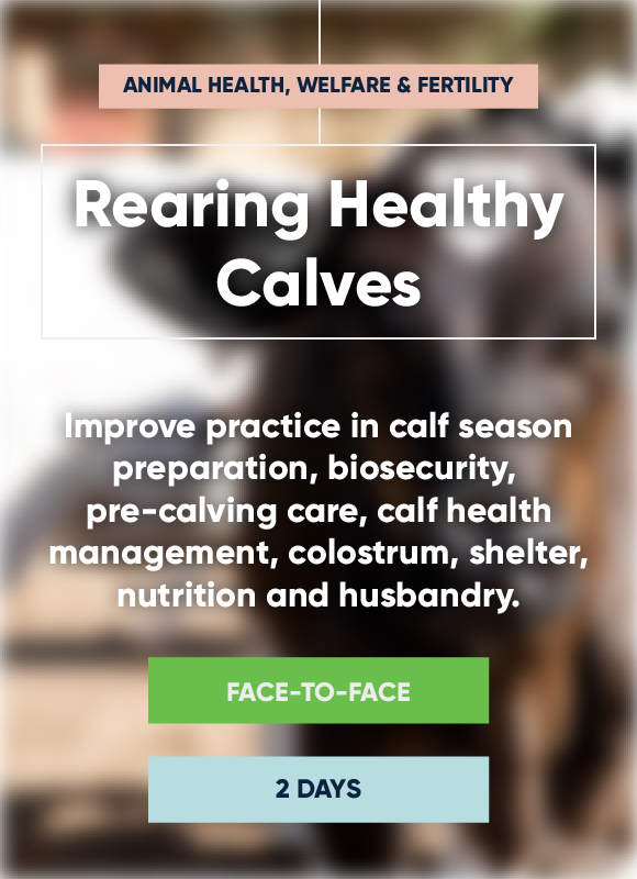 Rearing Healthy Calves