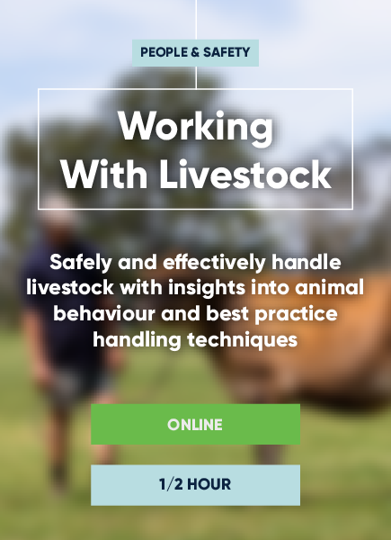 Working With Livestock