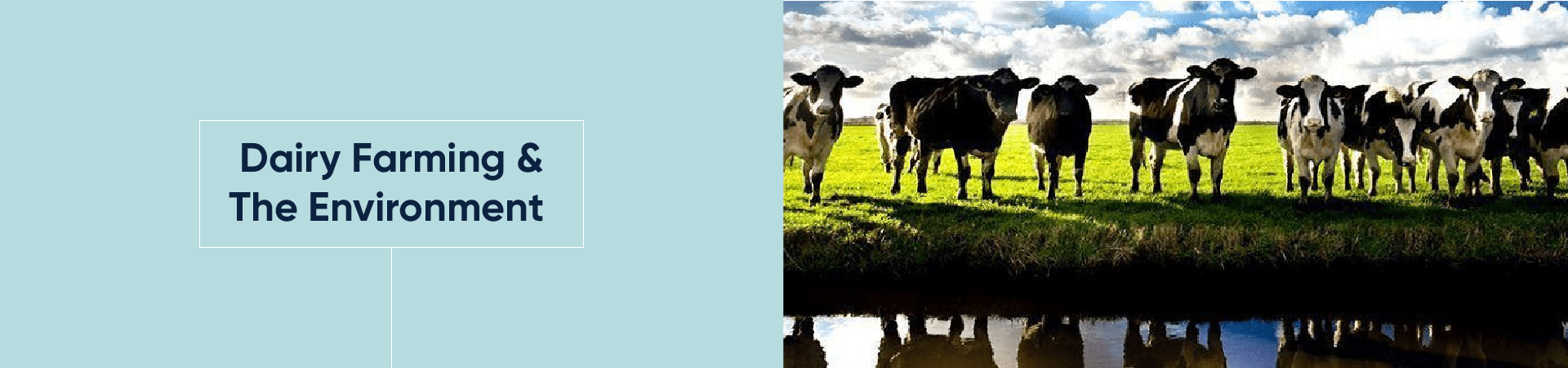 Dairy Farming and The Environment - Course Banner